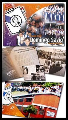Cliente: Colegio Domingo Savio